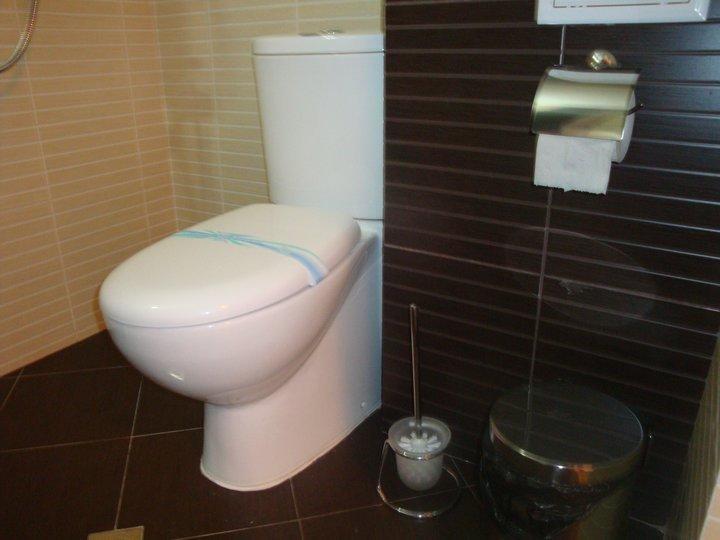 Tzvetelina Palace Hotel Dolna Banya Szoba fotó