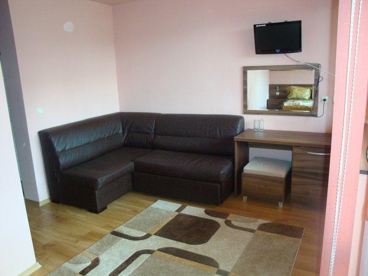 Tzvetelina Palace Hotel Dolna Banya Kültér fotó