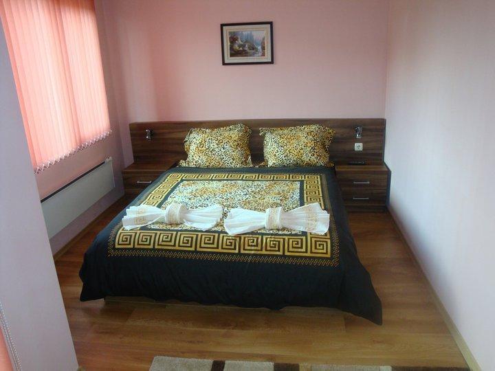 Tzvetelina Palace Hotel Dolna Banya Kültér fotó