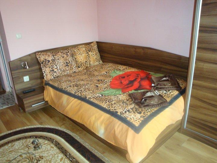 Tzvetelina Palace Hotel Dolna Banya Szoba fotó