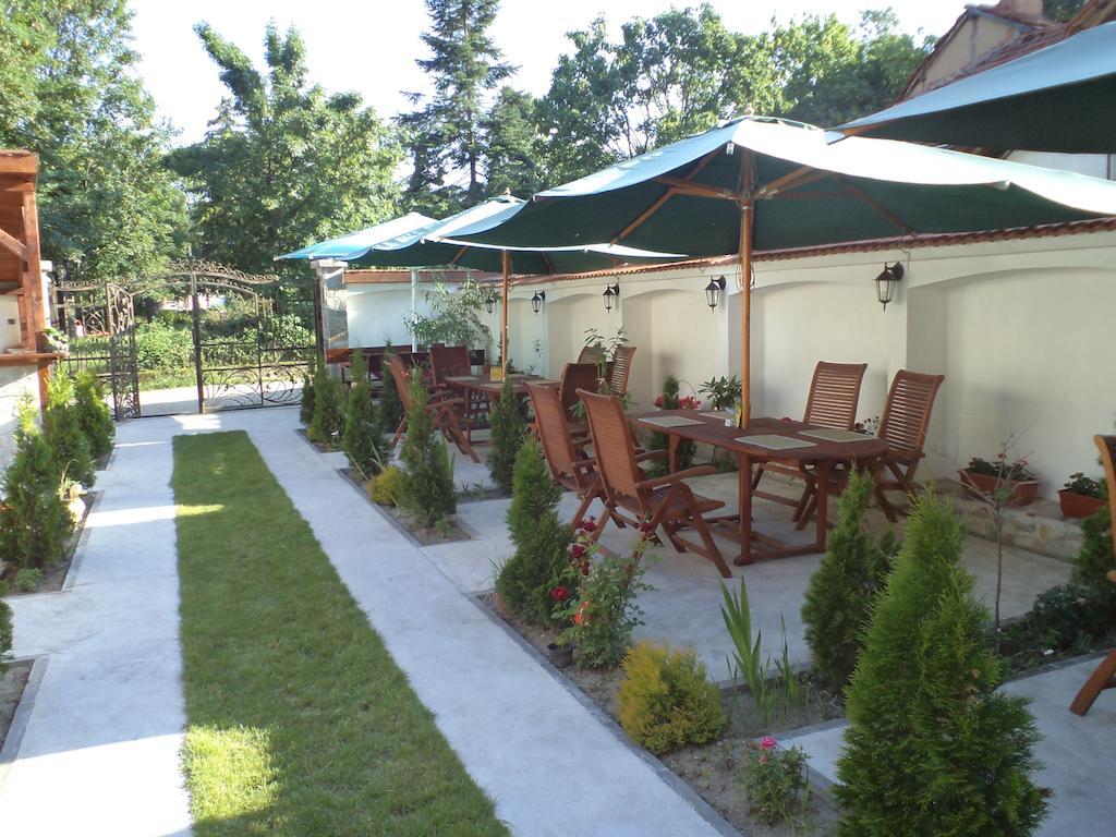 Tzvetelina Palace Hotel Dolna Banya Kültér fotó